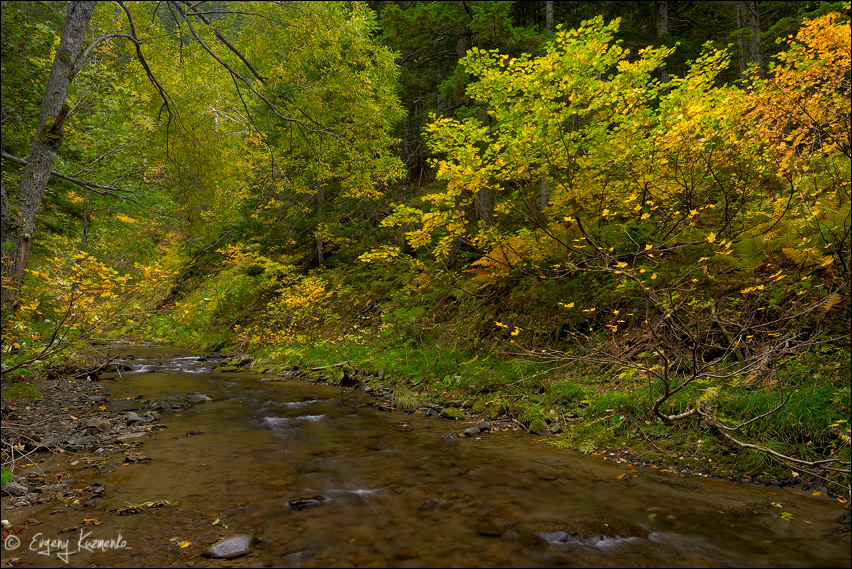 Осень на ручье Ястребок