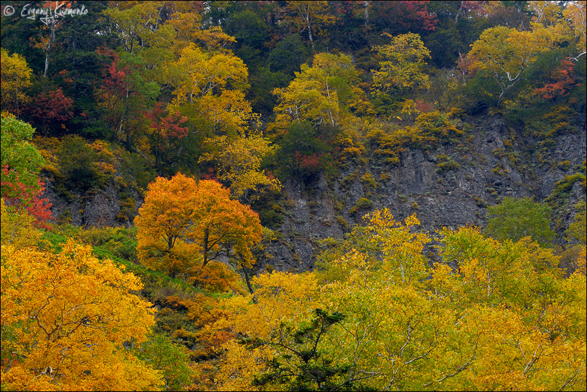 Осень, река Чеховка